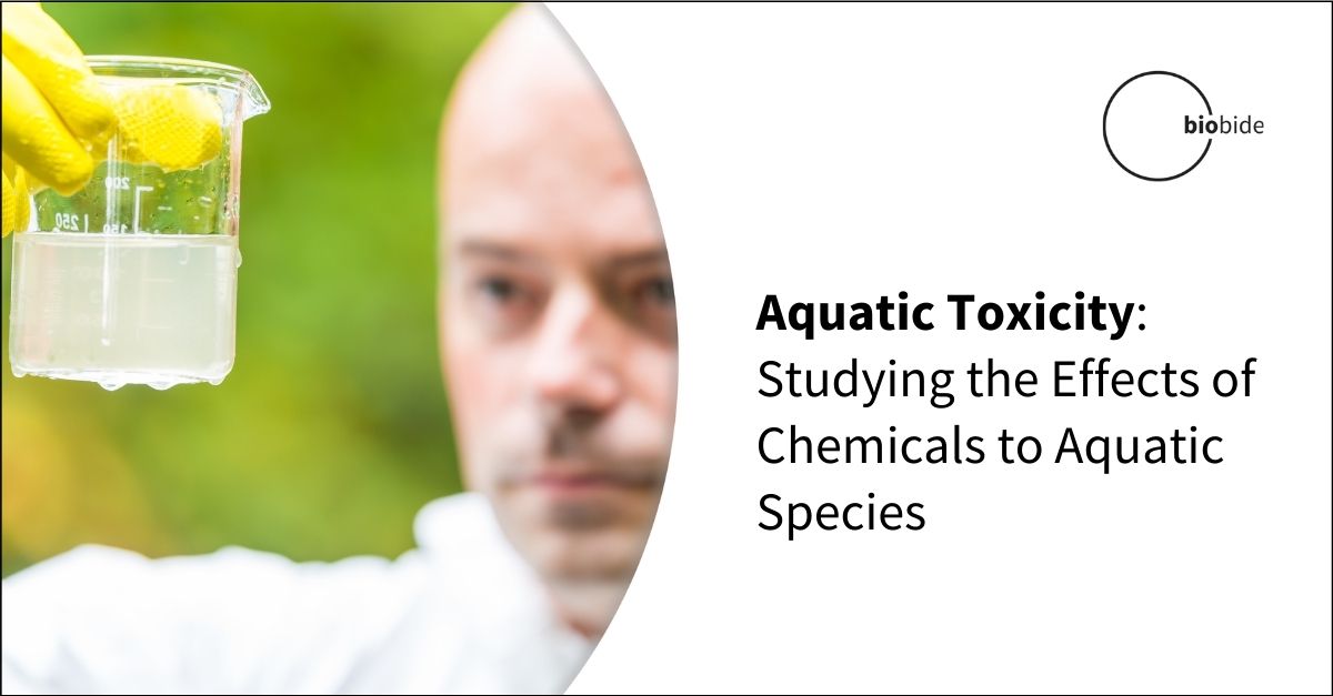 aquatic-toxicity-studying-the-effects-of-chemicals-on-aquatic-species